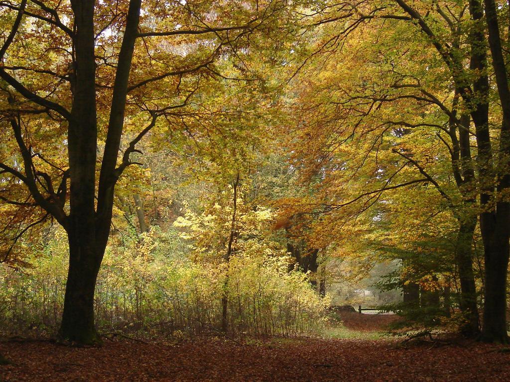 Hof Van Putten Esterno foto