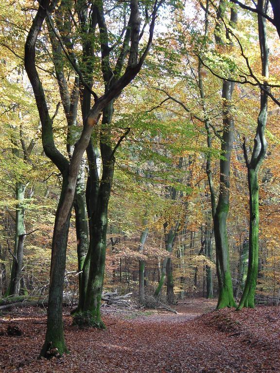 Hof Van Putten Esterno foto
